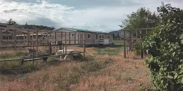 20 Round Up
