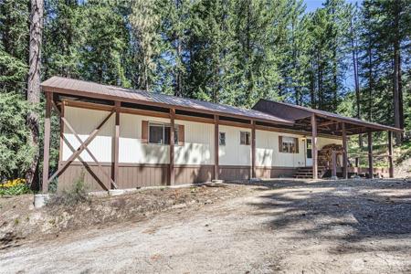 22116 Appaloosa