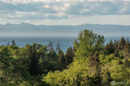 9999 Elwha Bluffs/Lot 3
