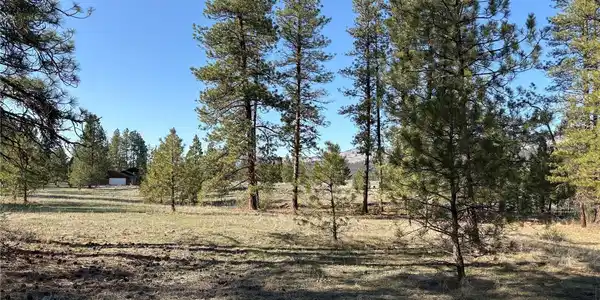 0 Tamarack