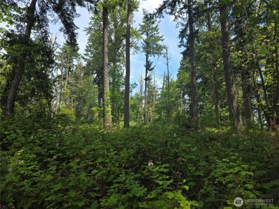 29615 Orting Kapowsin E