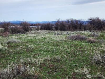 15800 Reecer Creek
