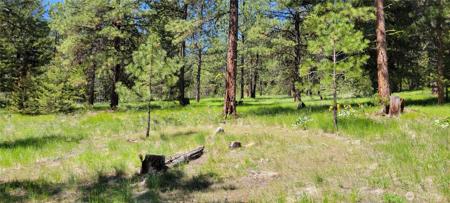 374 Bench Creek