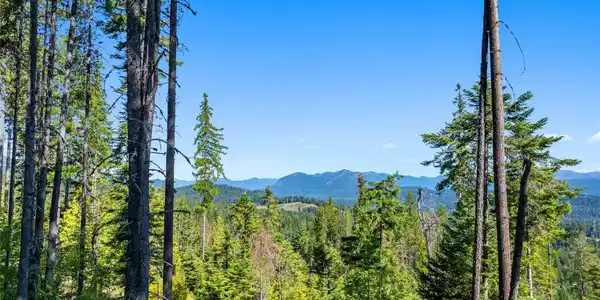 991 Trailside