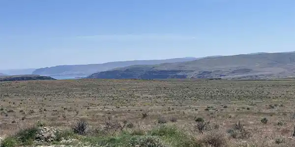 23290 Sage Loop