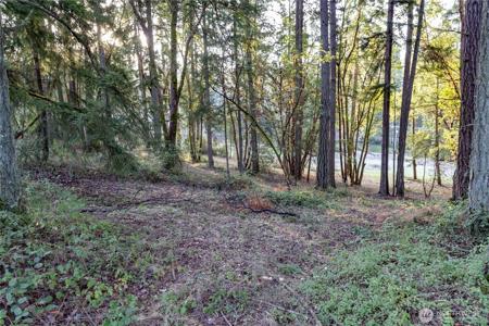 0 Lemolo Shore, Parcel 3-006 NE