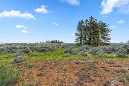 207 Falcon Ridge