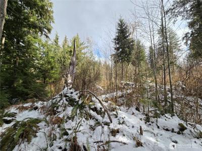 319 XX Mountain Loop Hwy