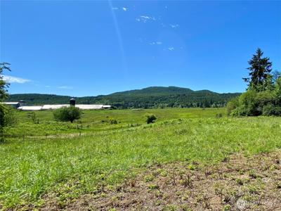 4211 Cloquallum