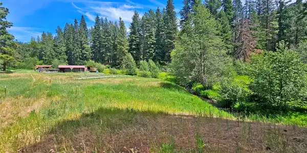 81 Williams Creek