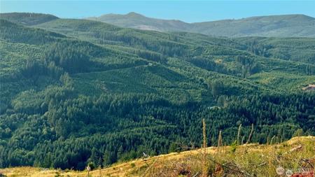 3727 Little Kalama River