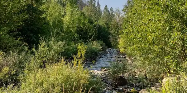 88 TBD Gold Creek
