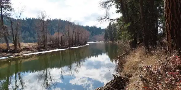 0 Lot 8 Highway 21 N