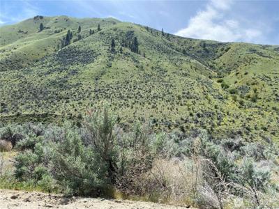 1585 Pitcher Canyon