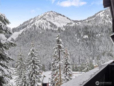 33613 Crystal Mountain E