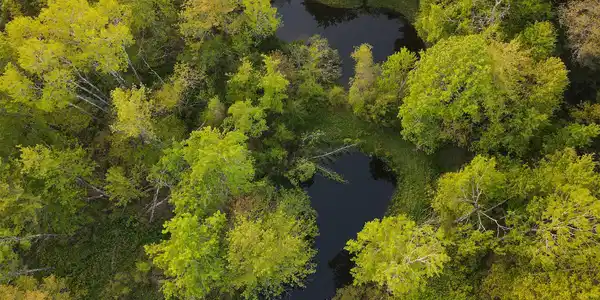 Image 4: Aerial View