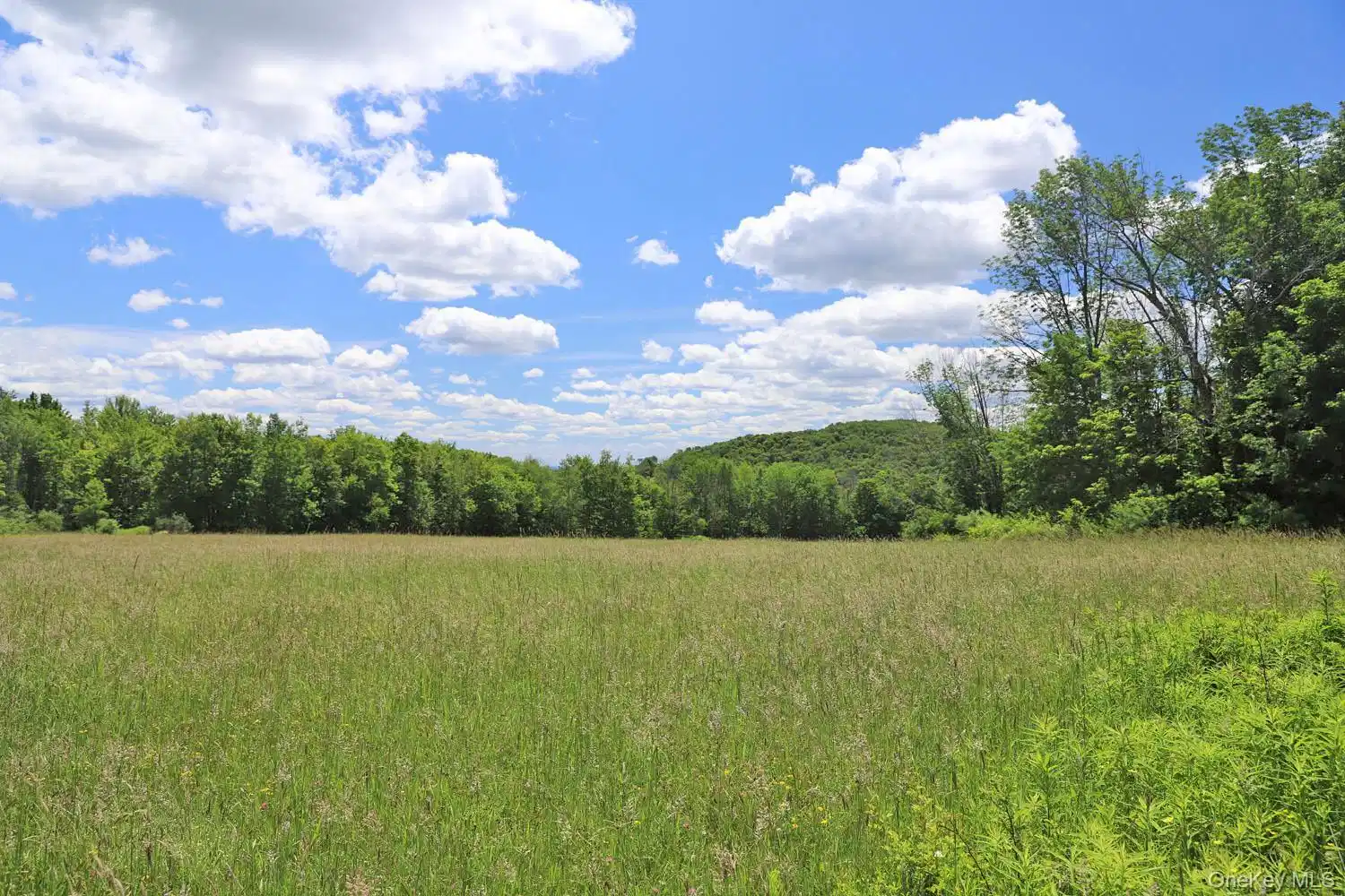 Image 1: View Image 1: View