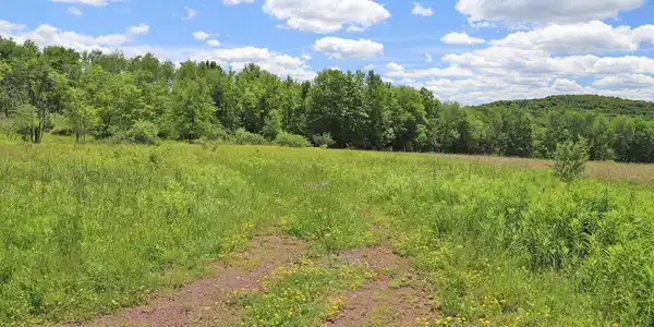 Image 3: View Image 3: View