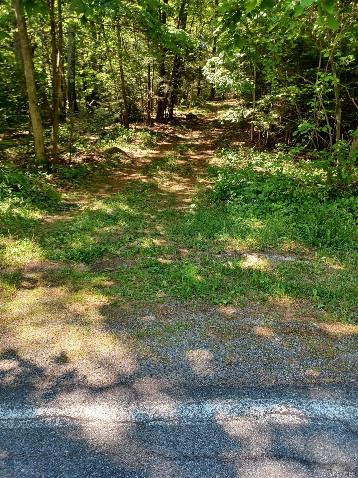 Image 4 Image 4