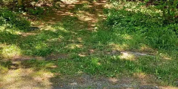 Image 4 Image 4
