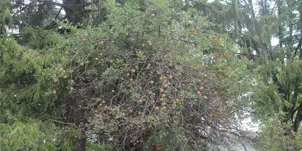 Image 4 Image 4
