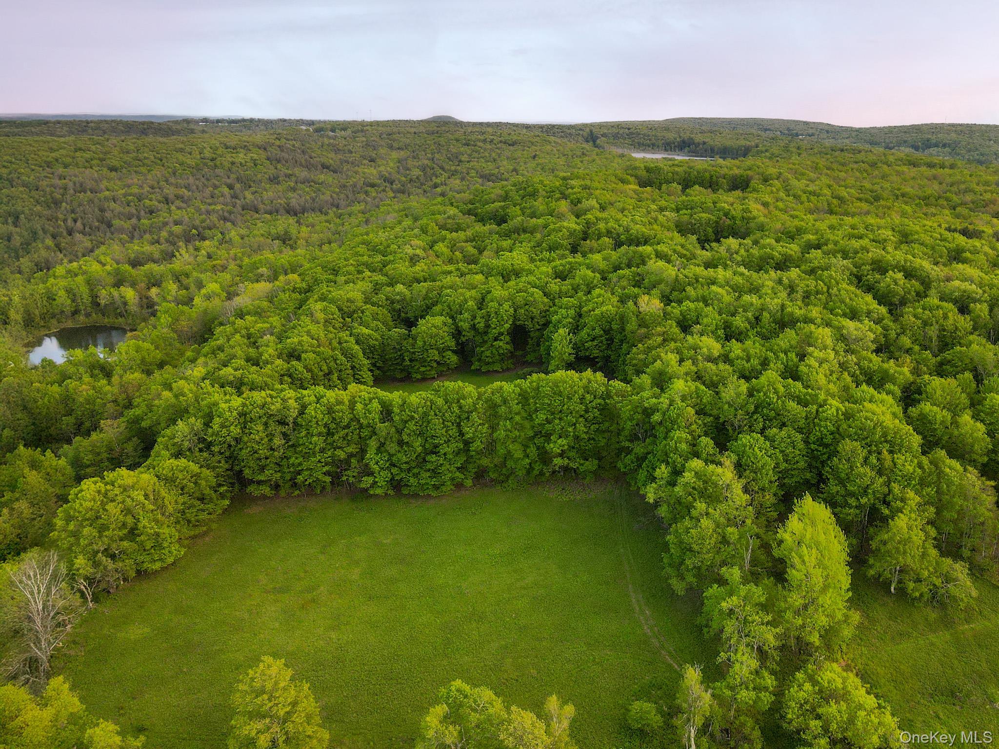 Image 3: Aerial View