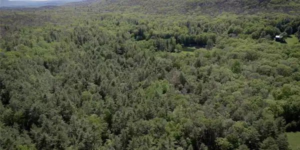 Image 3: Aerial View Image 3: Aerial View
