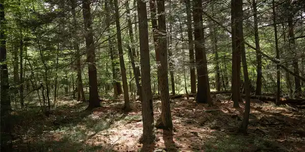 Image 4: Other Image 4: Other