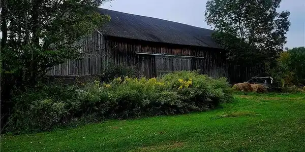 Image 4: Barn Image 4: Barn