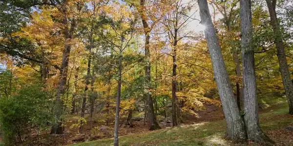 Lookout Road