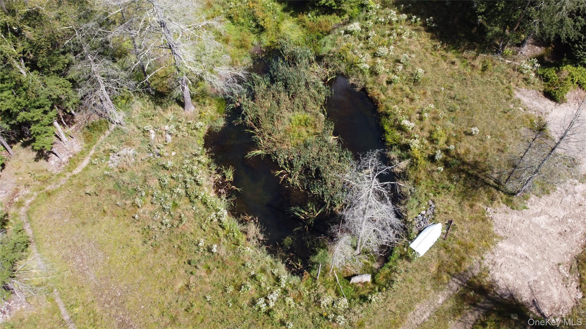 Image 2: Aerial View