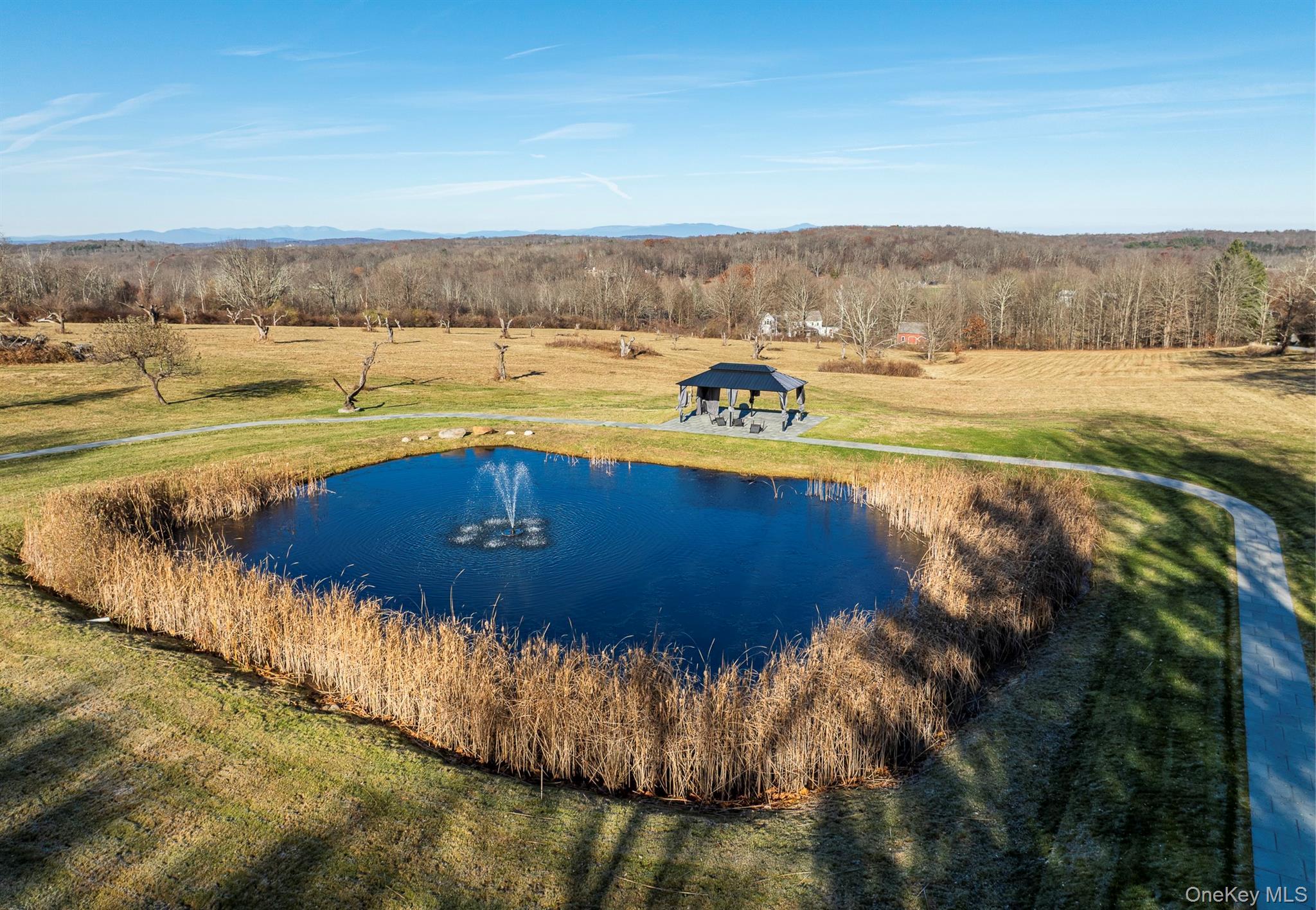 Image 4: Aerial View