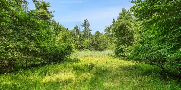 Oak Ridge Road
