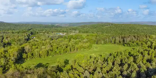 Image 4 Image 4
