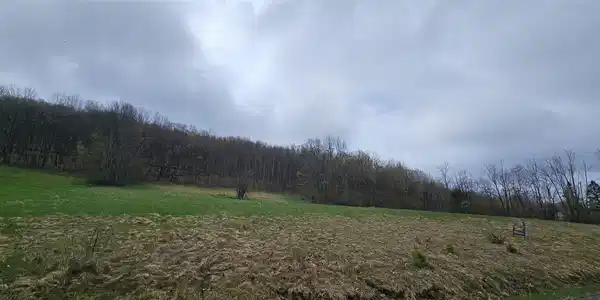 Lot 7.4 Hankins Road