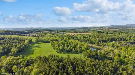 SKUNKS MISERY Lot 3 Road