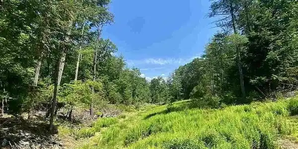 TBD Mulberry Lane