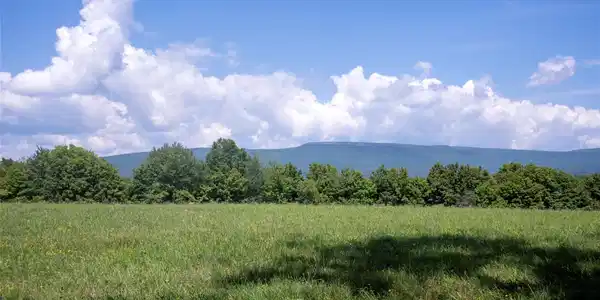 Image 4 Image 4