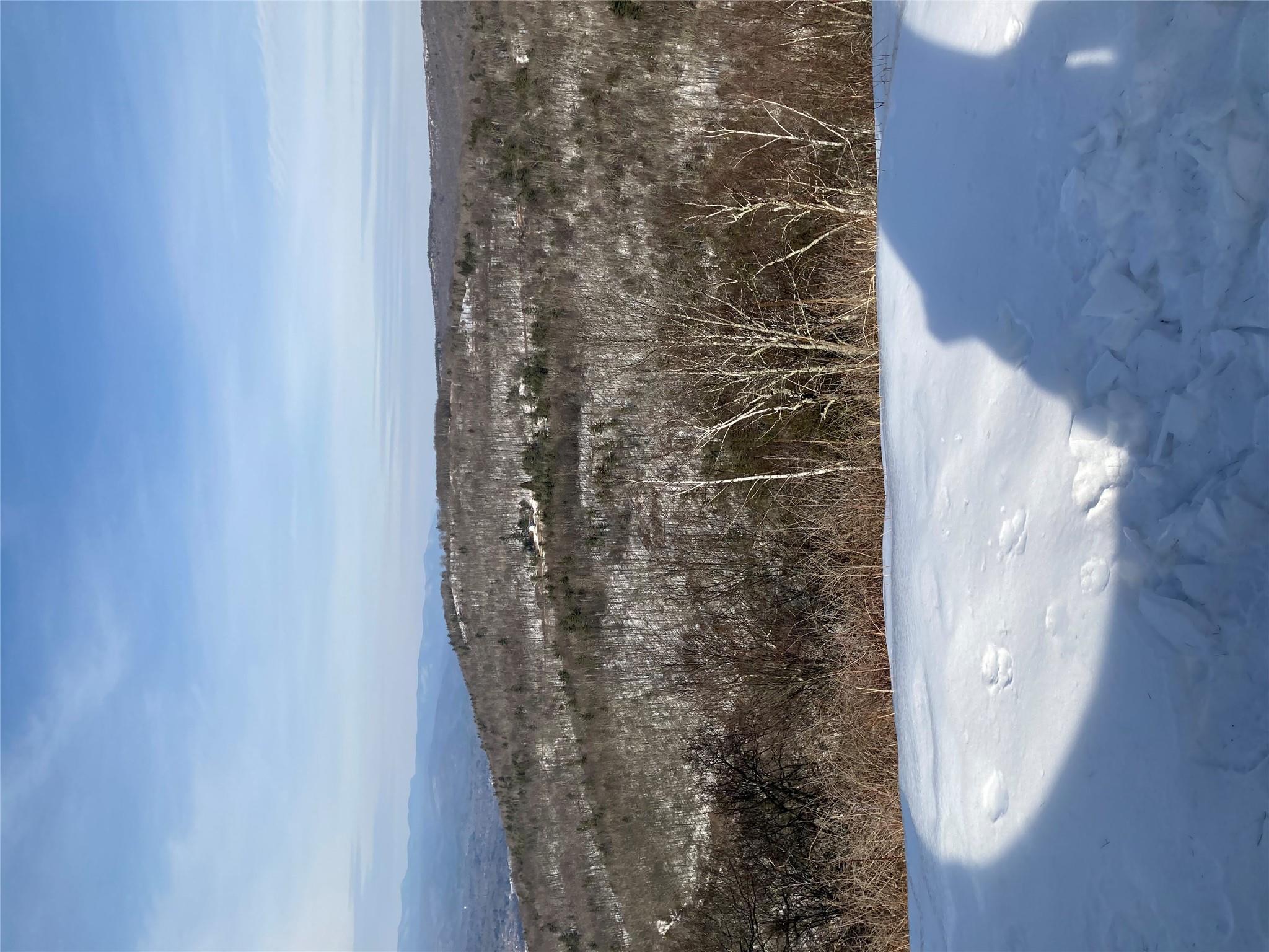 Image 4: Yard Image 4: Yard