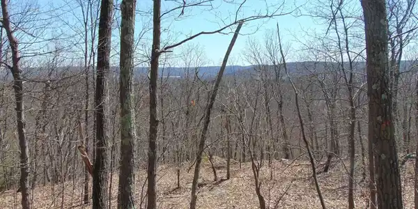 Image 4 Image 4
