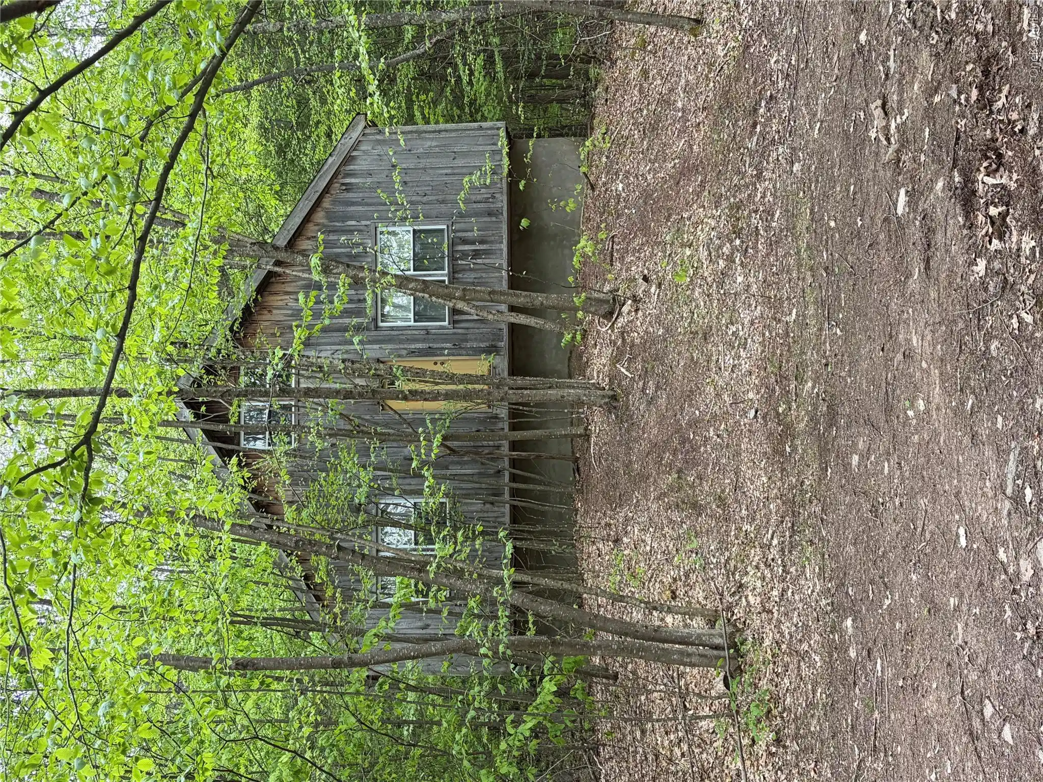 Image 1 Image 1