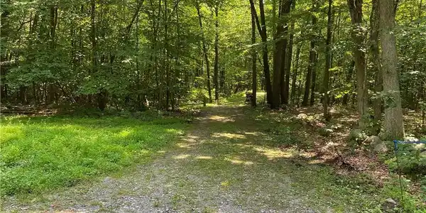 Image 4 Image 4