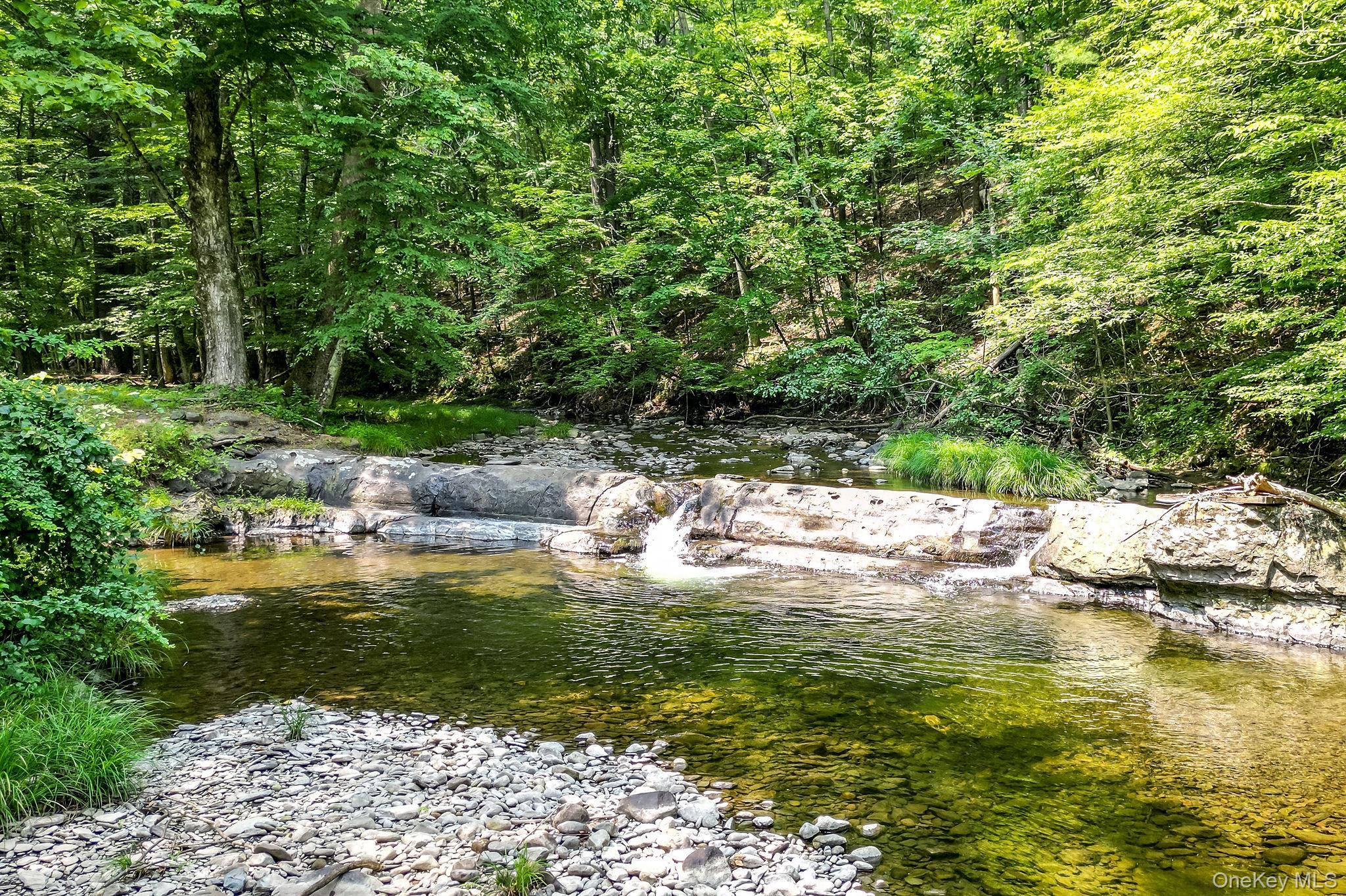 Image 3: Yard Image 3: Yard