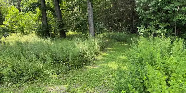 Image 3 Image 3