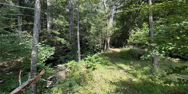 Image 4 Image 4