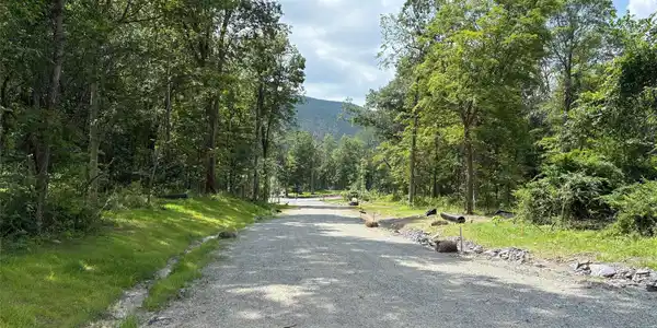 Image 4: Community