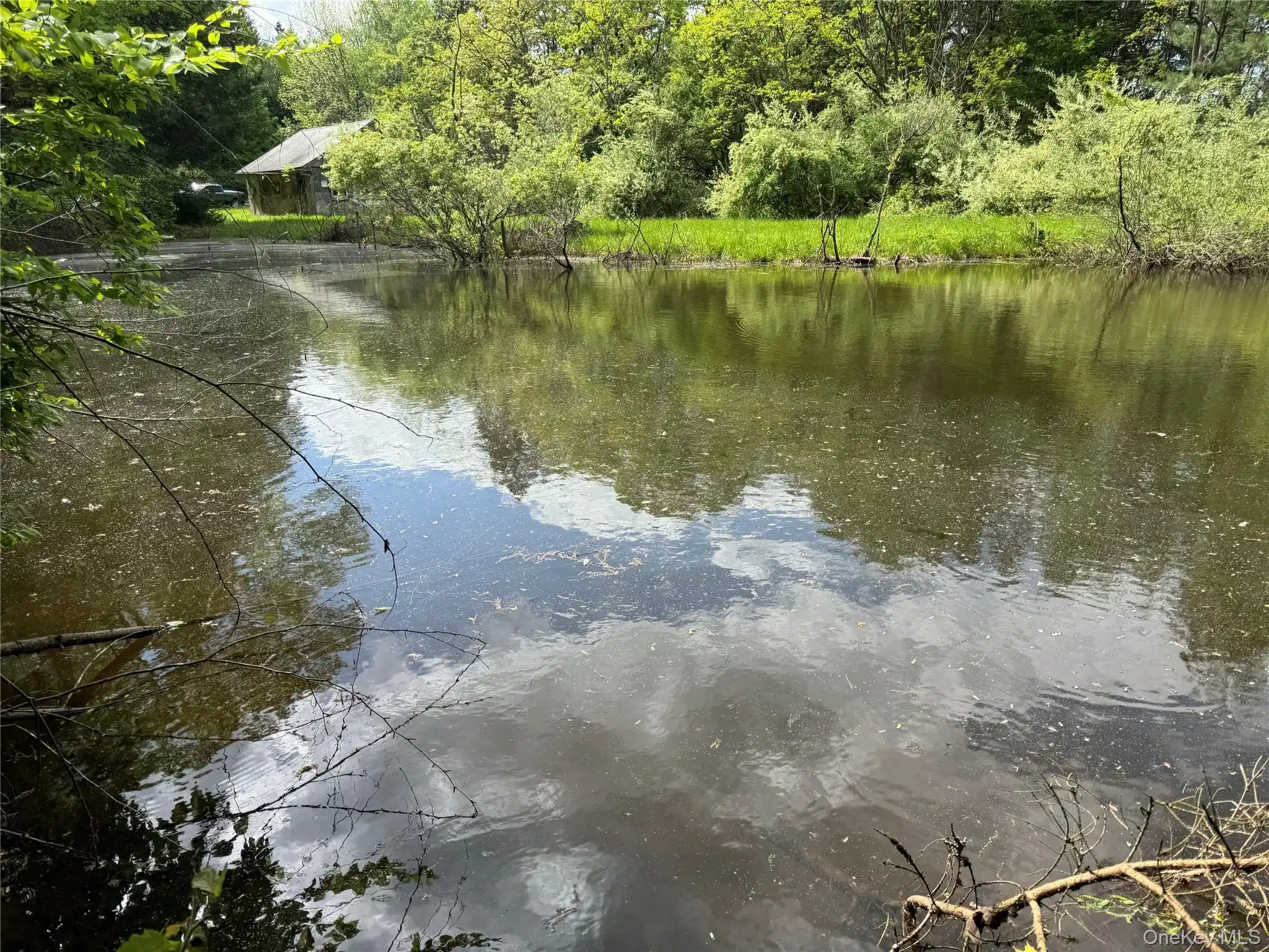 Image 1: Pond Image 1: Pond