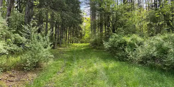Image 3: View Image 3: View