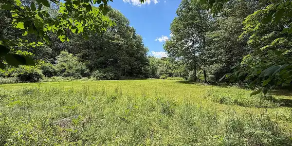 Image 4 Image 4