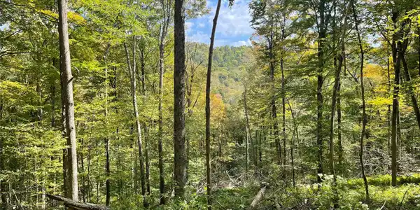 Carcass Brook Spur